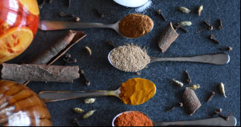 Menu restaurant indien Radha à le perreux sur marne