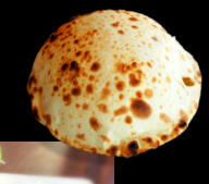 naan fromage restaurant radha